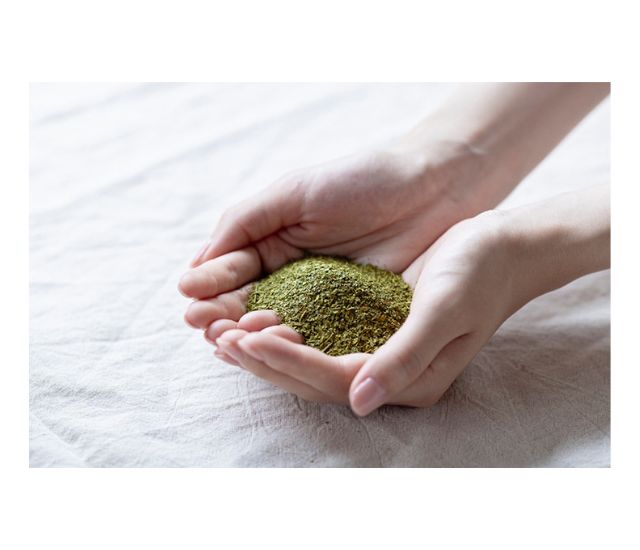 14:00～15:00 unito moringa steam 「モリンガスチーム導入説明会」